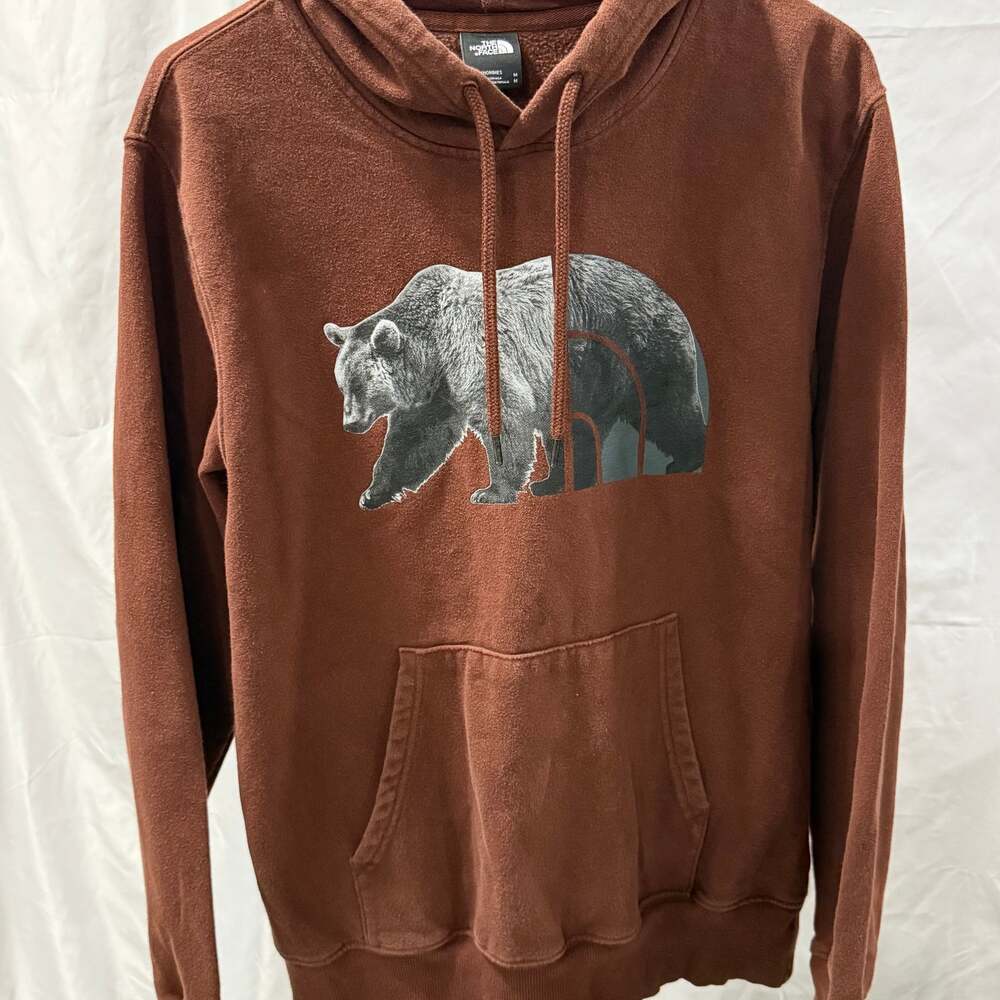 The North Face Men's Bear Logo Pullover Hoodie in Dark Oak Brown